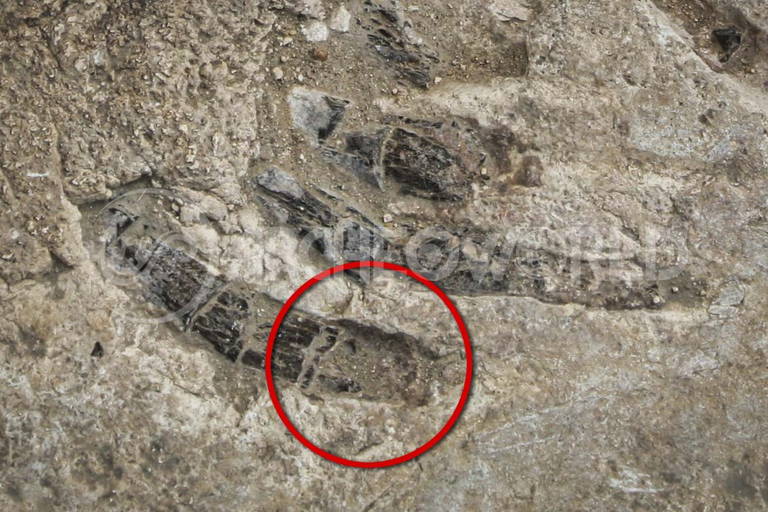 Dettaglio della zona da cui era stato precedentemente tolto il campione