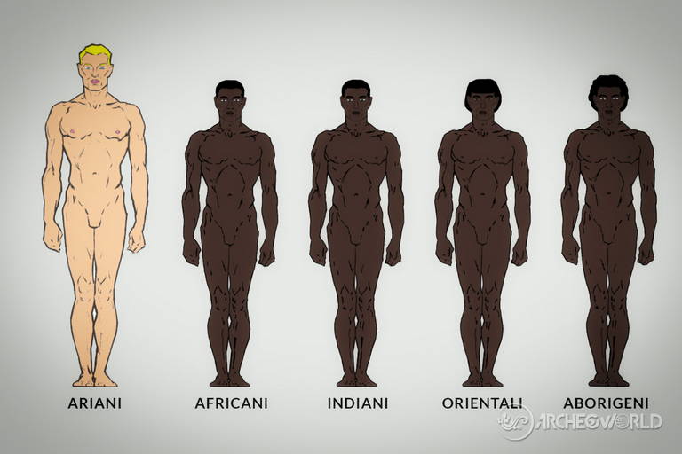 Numerosi studi avevano stilato un decalogo di misure della "razza perfetta"