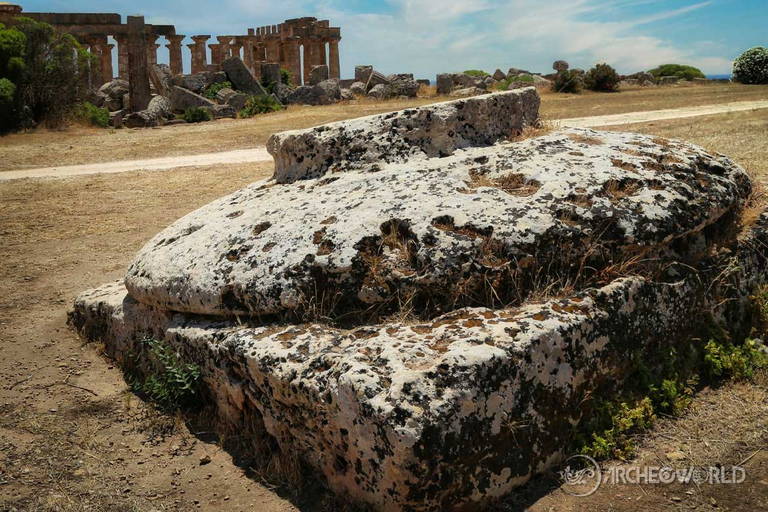 Il gigantesco capitello del Tempio G